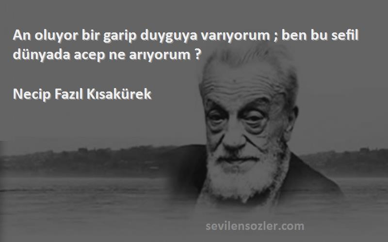 Necip Fazıl Kısakürek Sözleri 
An oluyor bir garip duyguya varıyorum ; ben bu sefil dünyada acep ne arıyorum ?