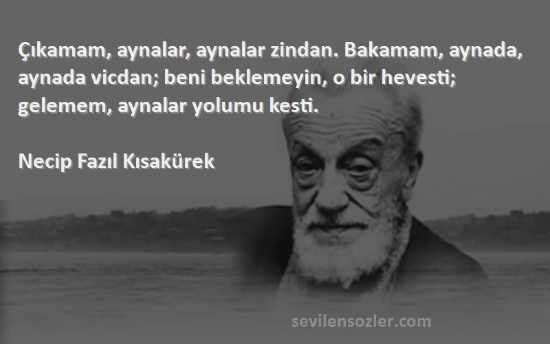 Necip Fazıl Kısakürek Sözleri 
Çıkamam, aynalar, aynalar zindan. Bakamam, aynada, aynada vicdan; beni beklemeyin, o bir hevesti; gelemem, aynalar yolumu kesti.