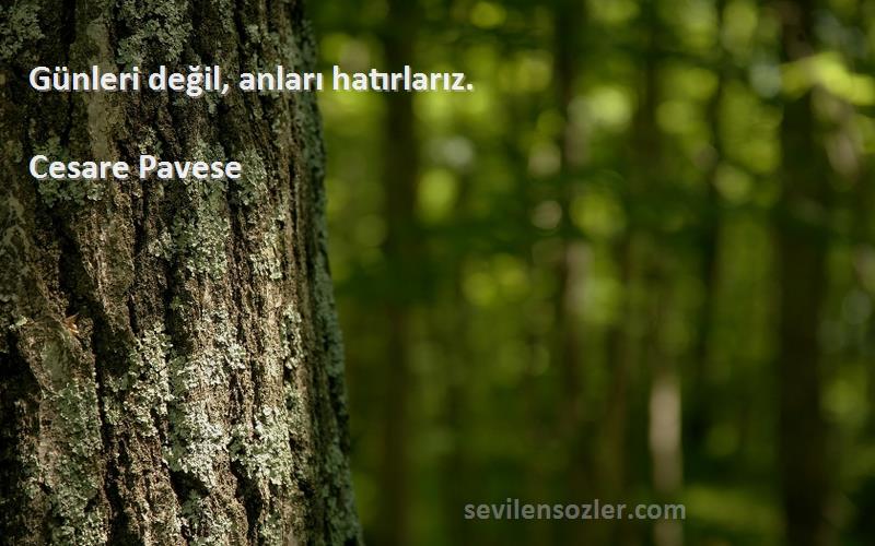 Cesare Pavese Sözleri 
Günleri değil, anları hatırlarız.