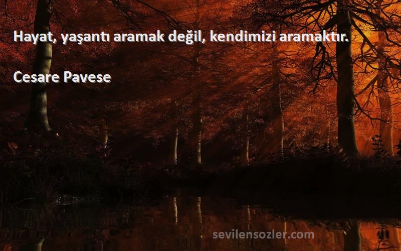 Cesare Pavese Sözleri 
Hayat, yaşantı aramak değil, kendimizi aramaktır.