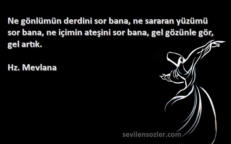 Hz. Mevlana Sözleri 
Ne gönlümün derdini sor bana, ne sararan yüzümü sor bana, ne içimin ateşini sor bana, gel gözünle gör, gel artık.