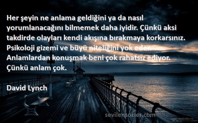 David Lynch Sözleri 
Her şeyin ne anlama geldiğini ya da nasıl yorumlanacağını bilmemek daha iyidir. Çünkü aksi takdirde olayları kendi akışına bırakmaya korkarsınız. Psikoloji gizemi ve büyü niteliğini yok eder. Anlamlardan konuşmak beni çok rahatsız ediyor. Çünkü anlam çok.