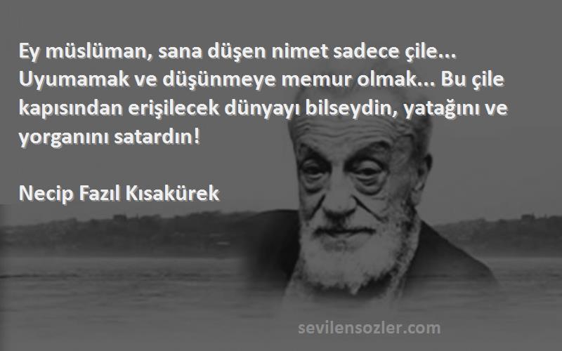 Necip Fazıl Kısakürek Sözleri 
Ey müslüman, sana düşen nimet sadece çile... Uyumamak ve düşünmeye memur olmak... Bu çile kapısından erişilecek dünyayı bilseydin, yatağını ve yorganını satardın!