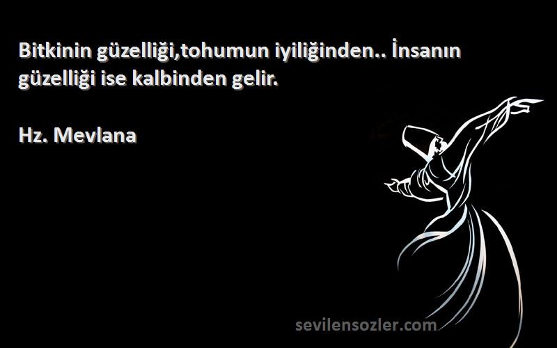 Hz. Mevlana - Bitkinin güzelliği,tohumun iyiliğinden.. İnsanın güzelliği ise kalbinden gelir.