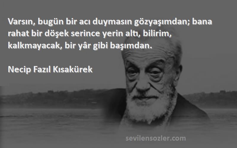 Necip Fazıl Kısakürek Sözleri 
Varsın, bugün bir acı duymasın gözyaşımdan; bana rahat bir döşek serince yerin altı, bilirim, kalkmayacak, bir yâr gibi başımdan.