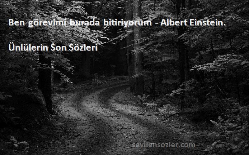 Ünlülerin Son  Sözleri 
Ben görevimi burada bitiriyorum - Albert Einstein.