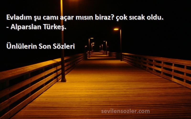 Ünlülerin Son  - Evladım şu camı açar mısın biraz? çok sıcak oldu. - Alparslan Türkeş.