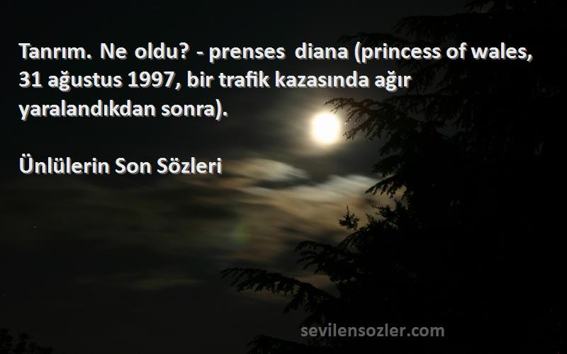 Ünlülerin Son  Sözleri 
Tanrım. Ne oldu? - prenses diana (princess of wales, 31 ağustus 1997, bir trafik kazasında ağır yaralandıkdan sonra).