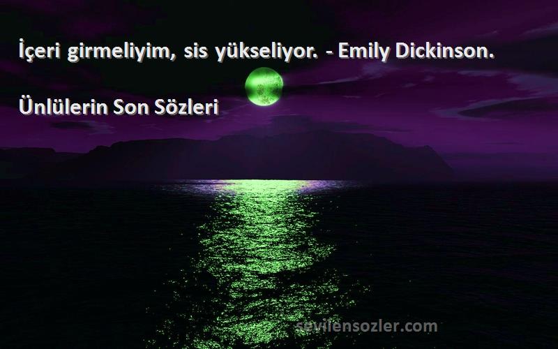 Ünlülerin Son  - İçeri girmeliyim, sis yükseliyor. - Emily Dickinson.