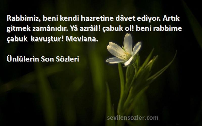Ünlülerin Son  Sözleri 
Rabbimiz, beni kendi hazretine dâvet ediyor. Artık gitmek zamânıdır. Yâ azrâil! çabuk ol! beni rabbime çabuk kavuştur! Mevlana.