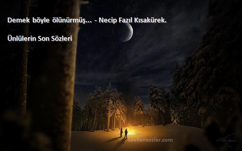 Ünlülerin Son  - Demek böyle ölünürmüş... - Necip Fazıl Kısakürek.