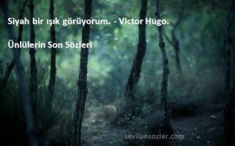 Ünlülerin Son  Sözleri 
Siyah bir ışık görüyorum. - Victor Hugo.