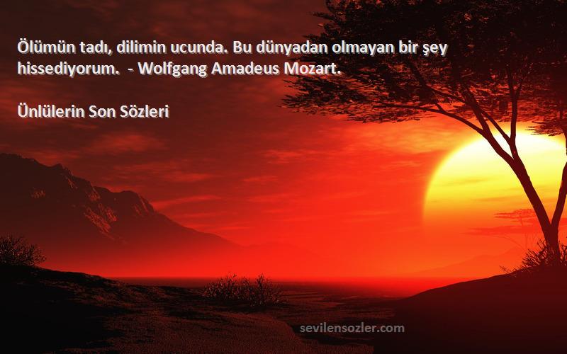 Ünlülerin Son  Sözleri 
Ölümün tadı, dilimin ucunda. Bu dünyadan olmayan bir şey hissediyorum. - Wolfgang Amadeus Mozart.