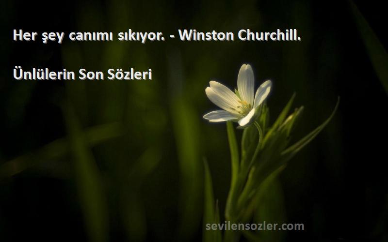 Ünlülerin Son  Sözleri 
Her şey canımı sıkıyor. - Winston Churchill.