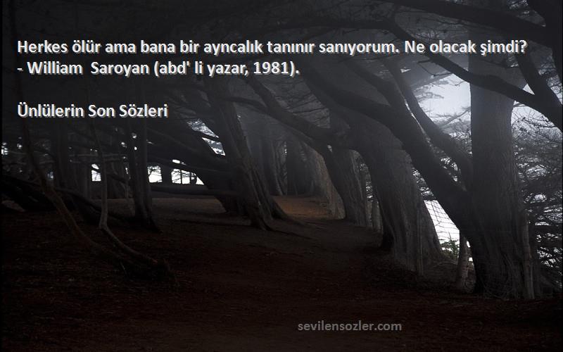 Ünlülerin Son  Sözleri 
Herkes ölür ama bana bir ayncalık tanınır sanıyorum. Ne olacak şimdi? - William Saroyan (abd' li yazar, 1981).