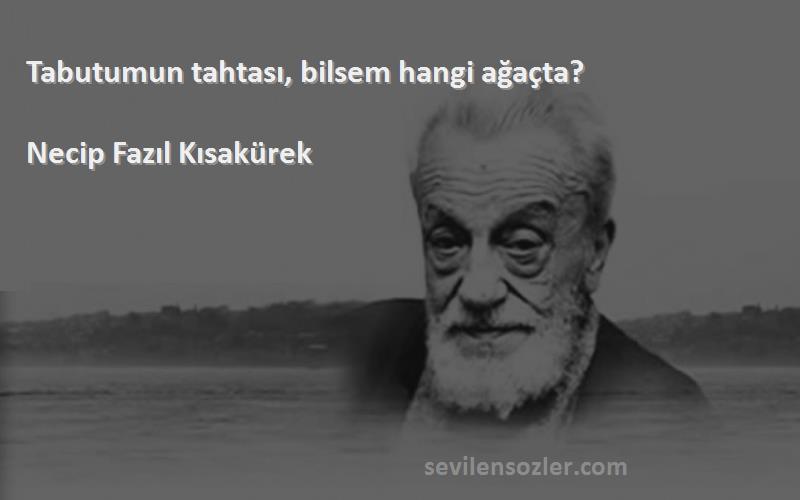 Necip Fazıl Kısakürek - Tabutumun tahtası, bilsem hangi ağaçta?