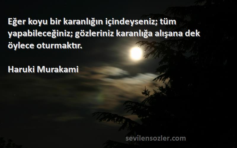 Haruki Murakami Sözleri 
Eğer koyu bir karanlığın içindeyseniz; tüm yapabileceğiniz; gözleriniz karanlığa alışana dek öylece oturmaktır.