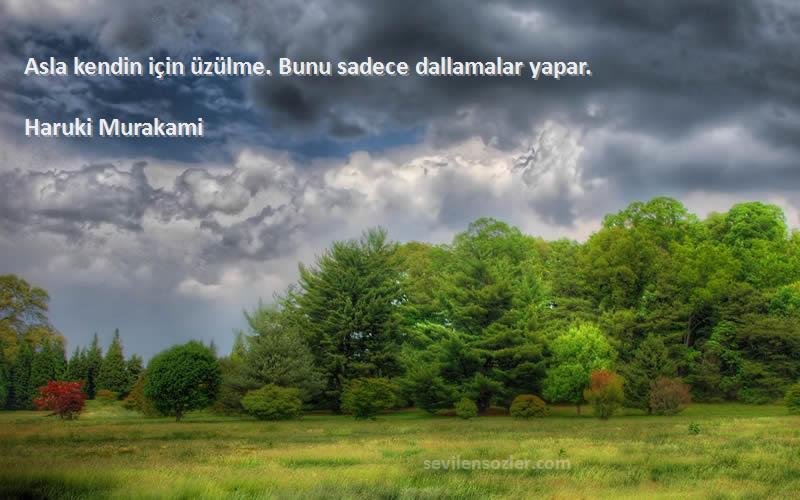 Haruki Murakami Sözleri 
Asla kendin için üzülme. Bunu sadece dallamalar yapar.