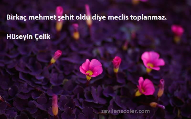 Hüseyin Çelik - Birkaç mehmet şehit oldu diye meclis toplanmaz.