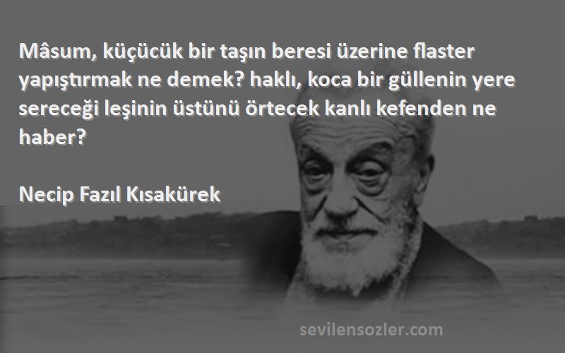 Necip Fazıl Kısakürek Sözleri 
Mâsum, küçücük bir taşın beresi üzerine flaster yapıştırmak ne demek? haklı, koca bir güllenin yere sereceği leşinin üstünü örtecek kanlı kefenden ne haber?