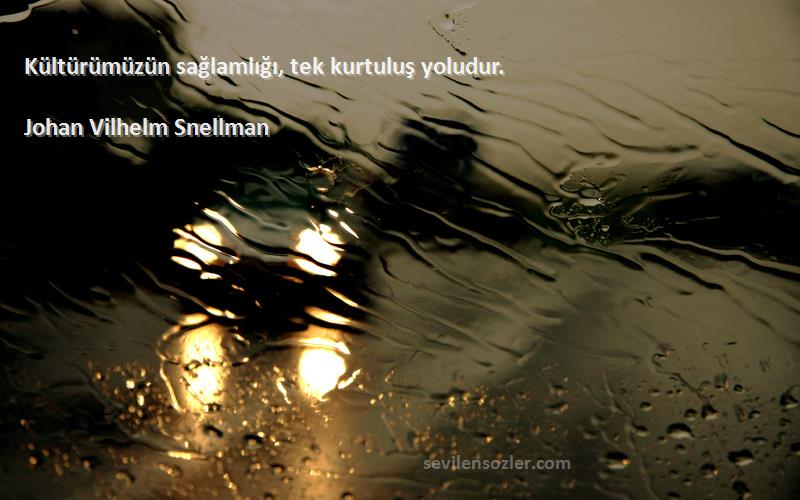 Johan Vilhelm Snellman - Kültürümüzün sağlamlığı, tek kurtuluş yoludur.