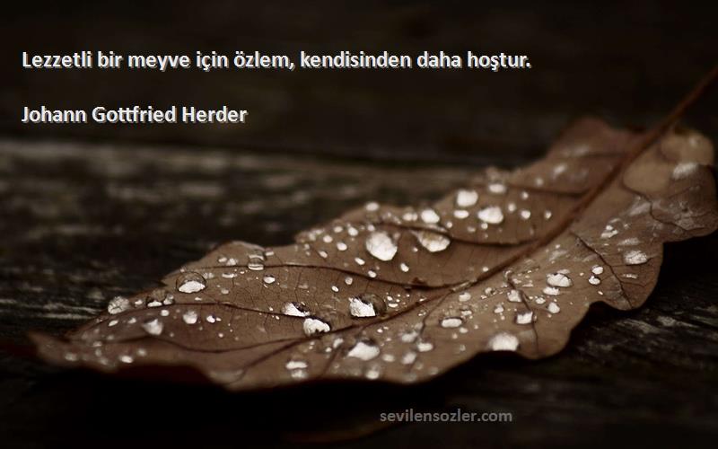 Johann Gottfried Herder - Lezzetli bir meyve için özlem, kendisinden daha hoştur.