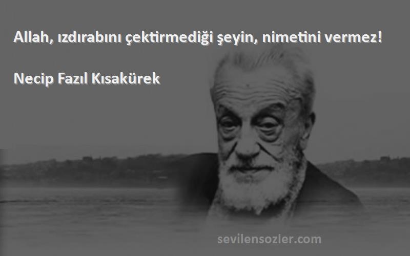 Necip Fazıl Kısakürek Sözleri 
Allah, ızdırabını çektirmediği şeyin, nimetini vermez!