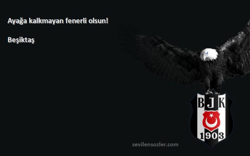 Beşiktaş Sözleri 
Ayağa kalkmayan fenerli olsun!