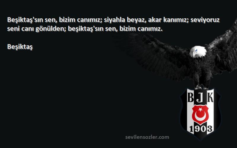 Beşiktaş Sözleri 
Beşiktaş'sın sen, bizim canımız; siyahla beyaz, akar kanımız; seviyoruz seni canı gönülden; beşiktaş'sın sen, bizim canımız.