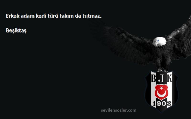 Beşiktaş - Erkek adam kedi türü takım da tutmaz.