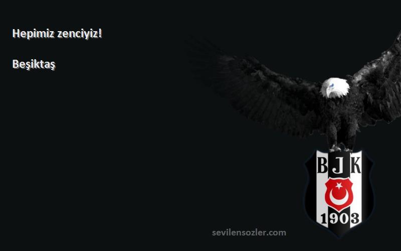 Beşiktaş - Hepimiz zenciyiz!