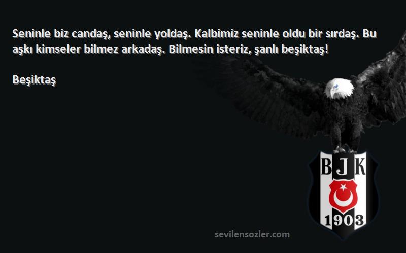 Beşiktaş Sözleri 
Seninle biz candaş, seninle yoldaş. Kalbimiz seninle oldu bir sırdaş. Bu aşkı kimseler bilmez arkadaş. Bilmesin isteriz, şanlı beşiktaş!