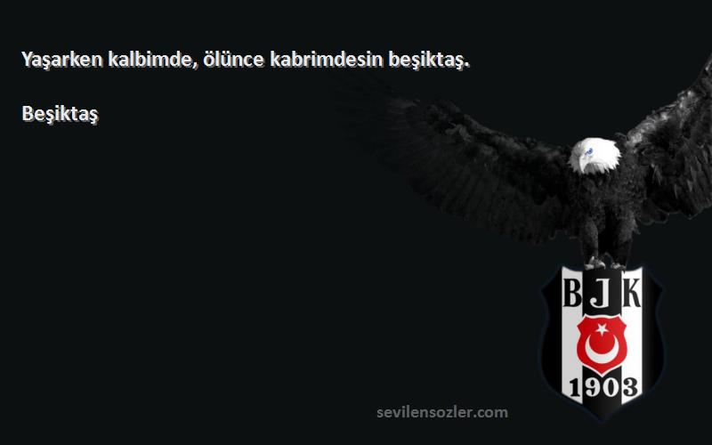 Beşiktaş Sözleri 
Yaşarken kalbimde, ölünce kabrimdesin beşiktaş.