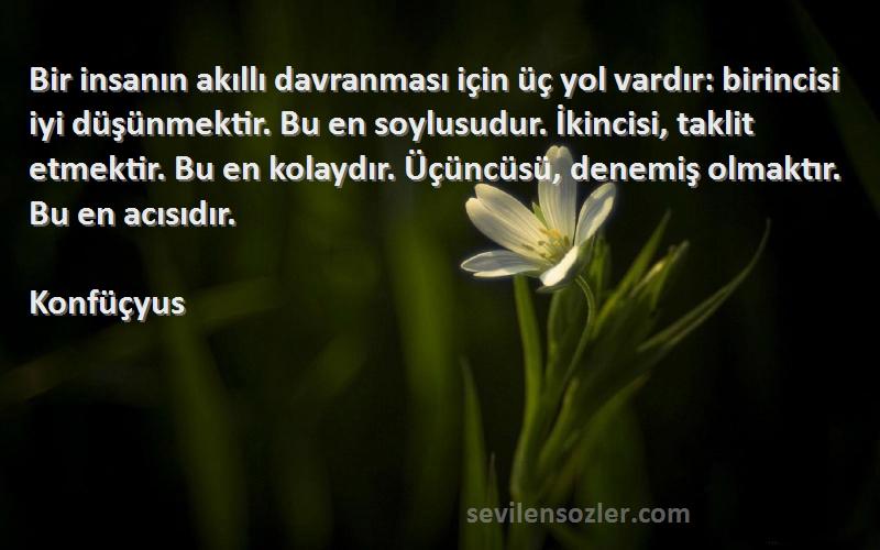 Konfüçyus Sözleri 
Bir insanın akıllı davranması için üç yol vardır: birincisi iyi düşünmektir. Bu en soylusudur. İkincisi, taklit etmektir. Bu en kolaydır. Üçüncüsü, denemiş olmaktır. Bu en acısıdır.