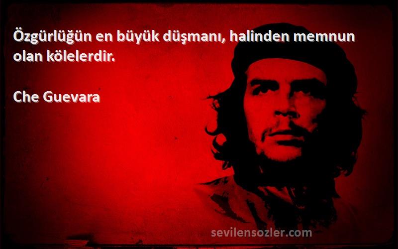 Che Guevara Sözleri 
Özgürlüğün en büyük düşmanı, halinden memnun olan kölelerdir.
