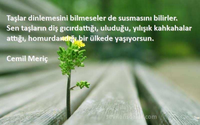 Cemil Meriç Sözleri 
Taşlar dinlemesini bilmeseler de susmasını bilirler. Sen taşların diş gıcırdattığı, uluduğu, yılışık kahkahalar attığı, homurdandığı bir ülkede yaşıyorsun.