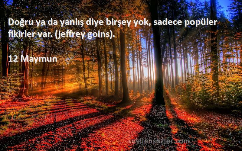 12 Maymun Sözleri 
Doğru ya da yanlış diye birşey yok, sadece popüler fikirler var. (jeffrey goins).