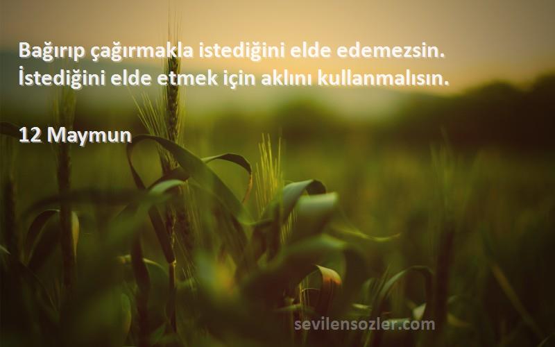 12 Maymun Sözleri 
Bağırıp çağırmakla istediğini elde edemezsin. İstediğini elde etmek için aklını kullanmalısın.