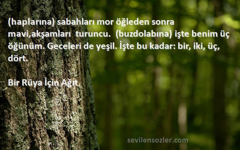 Bir Rüya İçin Ağıt Sözleri 
(haplarına) sabahları mor öğleden sonra mavi,akşamları turuncu. (buzdolabına) işte benim üç öğünüm. Geceleri de yeşil. İşte bu kadar: bir, iki, üç, dört.