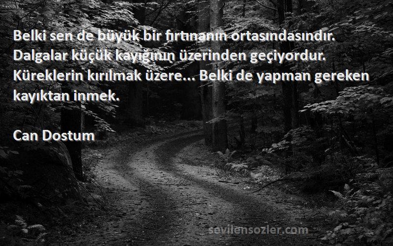 Can Dostum Sözleri 
Belki sen de büyük bir fırtınanın ortasındasındır. Dalgalar küçük kayığının üzerinden geçiyordur. Küreklerin kırılmak üzere... Belki de yapman gereken kayıktan inmek.