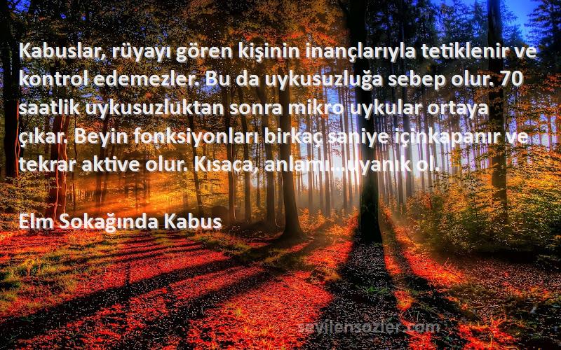 Elm Sokağında Kabus Sözleri 
Kabuslar, rüyayı gören kişinin inançlarıyla tetiklenir ve kontrol edemezler. Bu da uykusuzluğa sebep olur. 70 saatlik uykusuzluktan sonra mikro uykular ortaya çıkar. Beyin fonksiyonları birkaç saniye içinkapanır ve tekrar aktive olur. Kısaca, anlamı…uyanık ol.