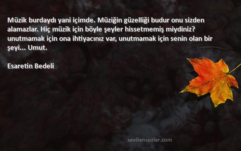 Esaretin Bedeli Sözleri 
Müzik burdaydı yani içimde. Müziğin güzelliği budur onu sizden alamazlar. Hiç müzik için böyle şeyler hissetmemiş miydiniz? unutmamak için ona ihtiyacınız var, unutmamak için senin olan bir şeyi... Umut.