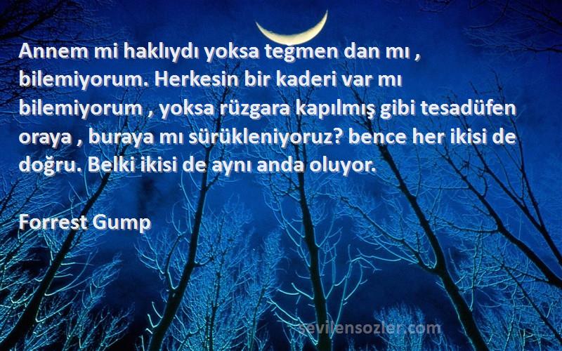 Forrest Gump Sözleri 
Annem mi haklıydı yoksa teğmen dan mı , bilemiyorum. Herkesin bir kaderi var mı bilemiyorum , yoksa rüzgara kapılmış gibi tesadüfen oraya , buraya mı sürükleniyoruz? bence her ikisi de doğru. Belki ikisi de aynı anda oluyor.