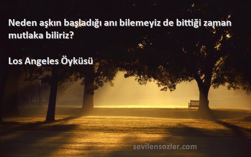 Los Angeles Öyküsü - Neden aşkın başladığı anı bilemeyiz de bittiği zaman mutlaka biliriz?