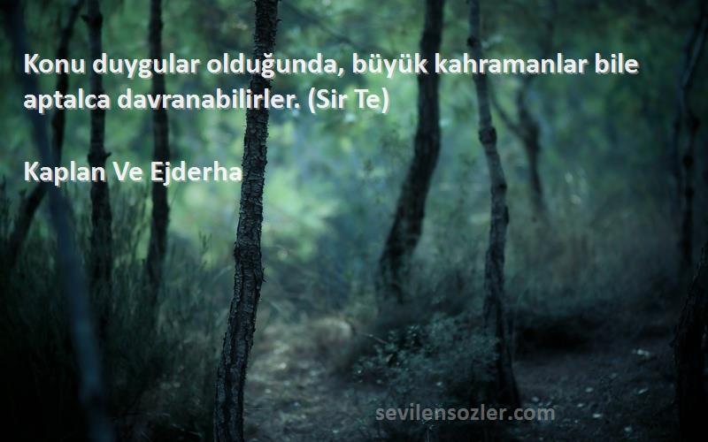 Kaplan Ve Ejderha - Konu duygular olduğunda, büyük kahramanlar bile aptalca davranabilirler. (Sir Te)