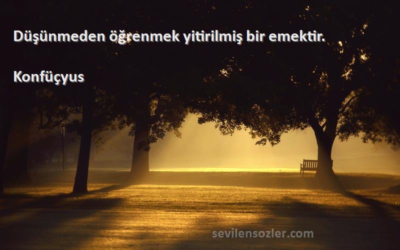 Konfüçyus - Düşünmeden öğrenmek yitirilmiş bir emektir.