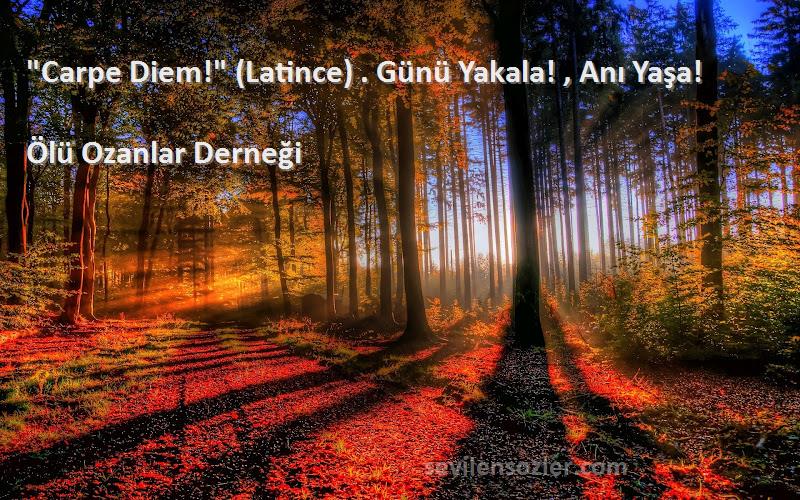 Ölü Ozanlar Derneği Sözleri 
Carpe Diem! (Latince) . Günü Yakala! , Anı Yaşa!