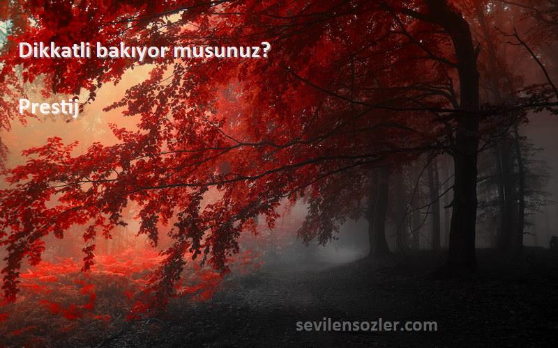 Prestij Sözleri 
Dikkatli bakıyor musunuz?