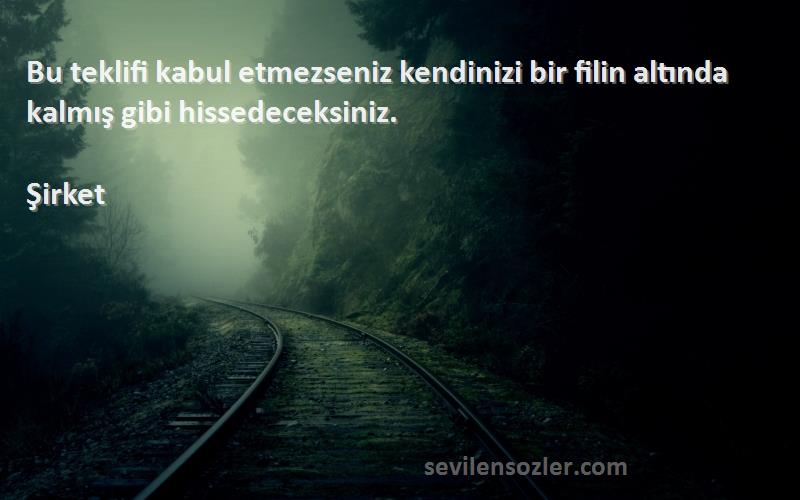 Şirket Sözleri 
Bu teklifi kabul etmezseniz kendinizi bir filin altında kalmış gibi hissedeceksiniz.