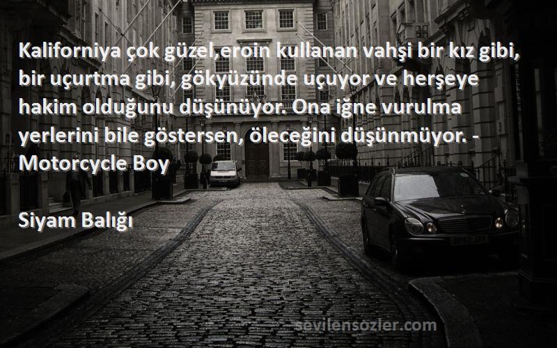 Siyam Balığı Sözleri 
Kaliforniya çok güzel,eroin kullanan vahşi bir kız gibi, bir uçurtma gibi, gökyüzünde uçuyor ve herşeye hakim olduğunu düşünüyor. Ona iğne vurulma yerlerini bile göstersen, öleceğini düşünmüyor. -Motorcycle Boy